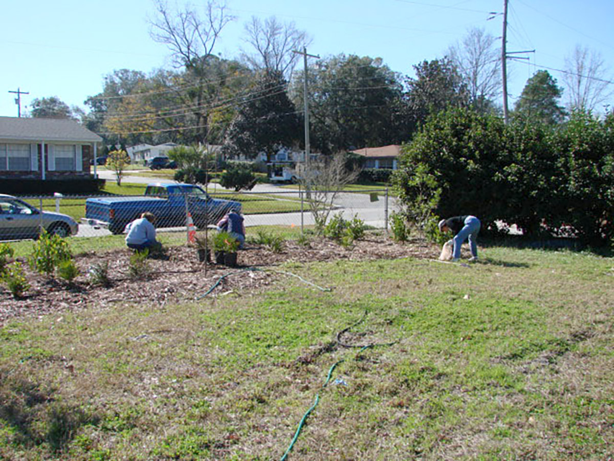 Crosby Native Planting CAntman 200703