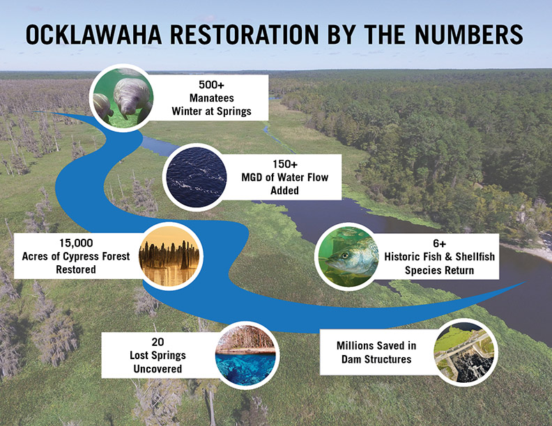 Ocklawaha River restoration graphic courtesy of Free The Ocklawaha 202110 Ocklawaha Restoration infographic