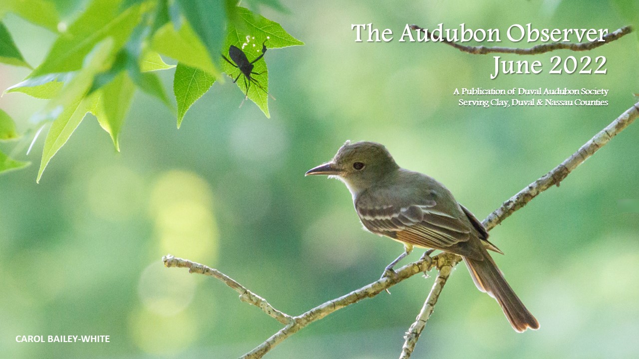 2022 Jun Observer Banner