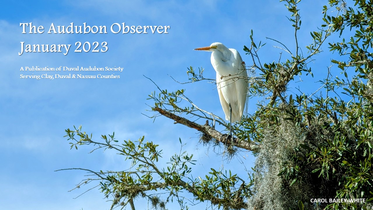 2023 Jan Observer Banner