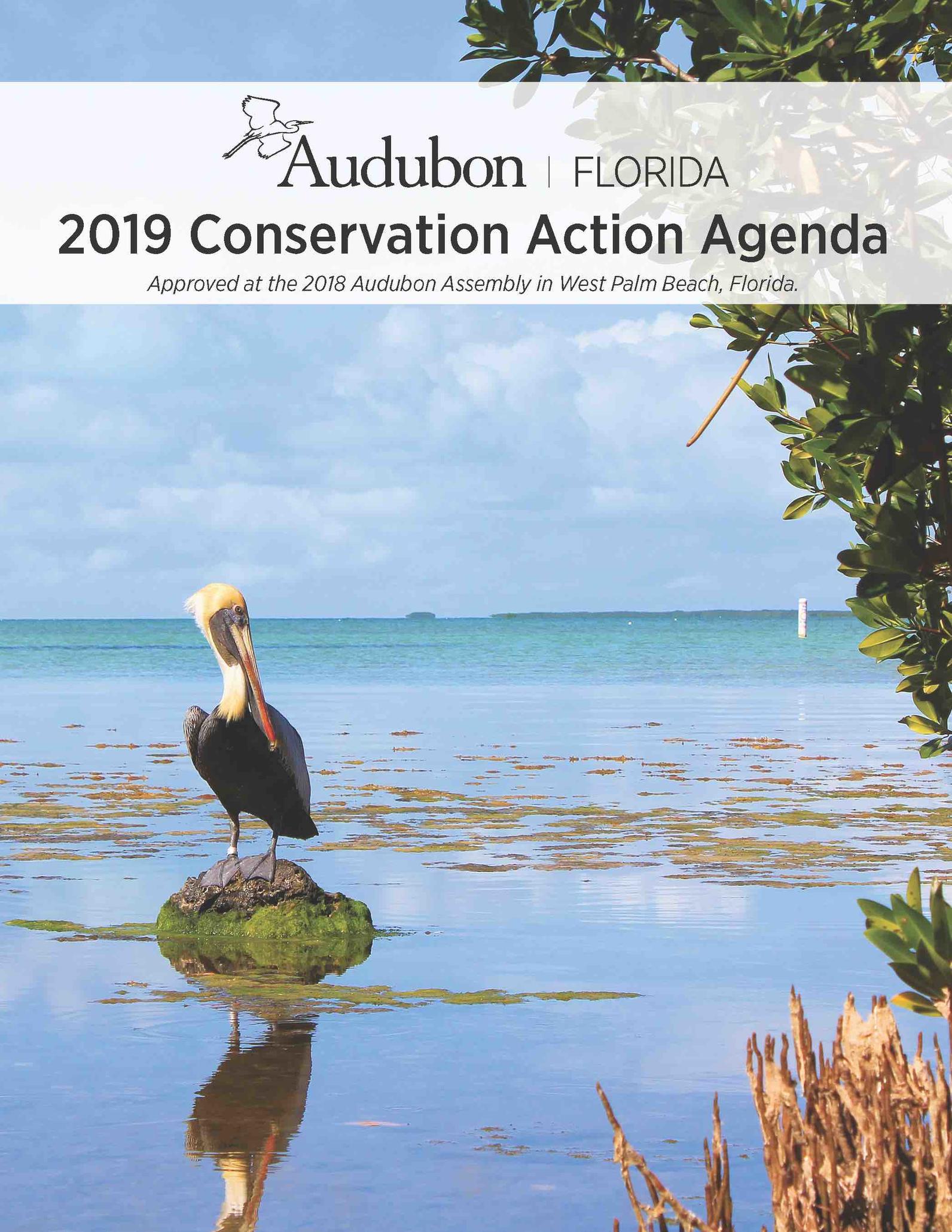 Audubon Assembly 2018