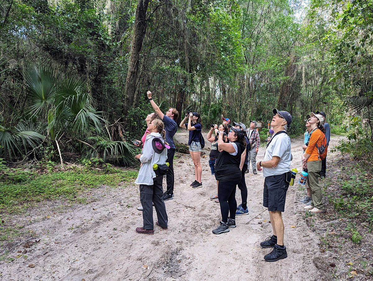 Beginning Bird Walk at Fort Caroline PXL 20231001 150120269