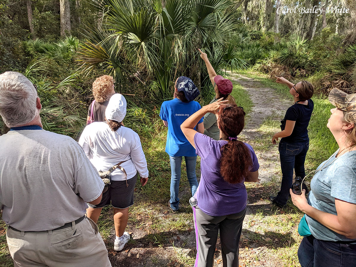 Beginning Bird Walk at Ft Caroline watermark CBW 20191013 110650