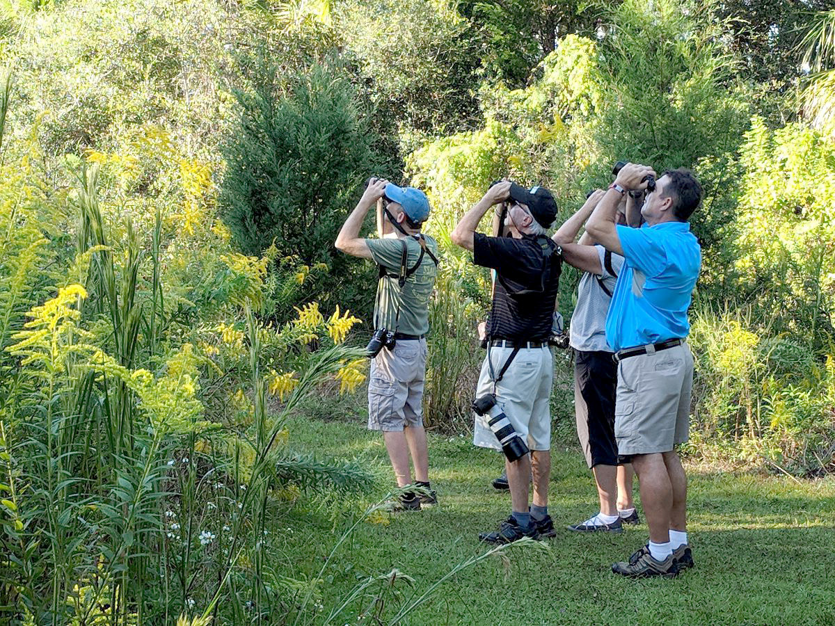 Birders male CBW