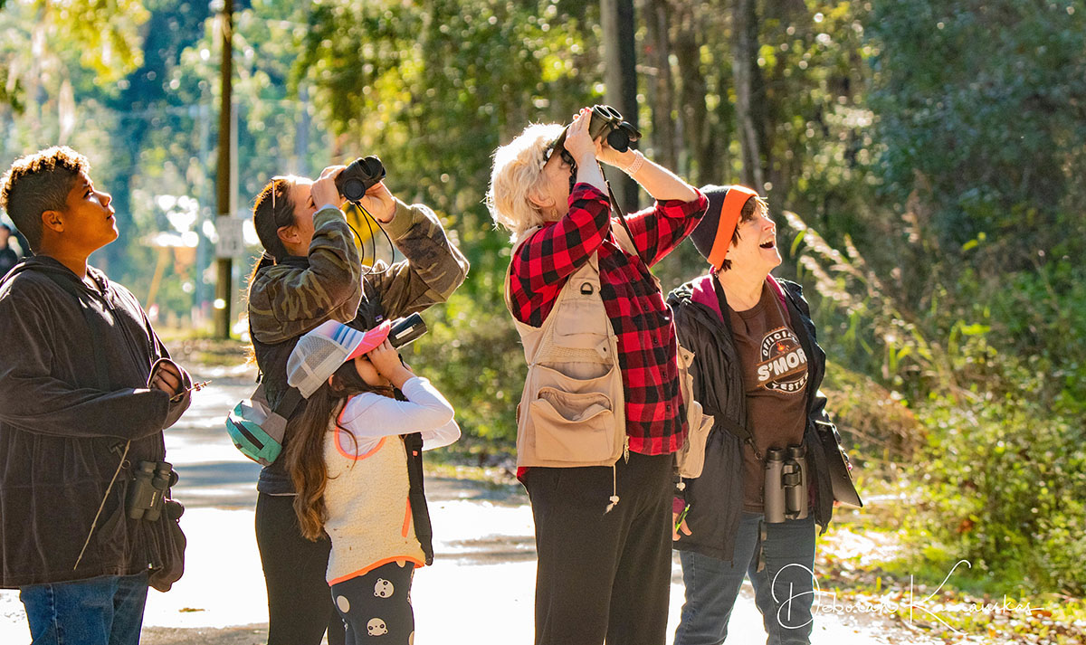 Image from CBC4Kids 2019