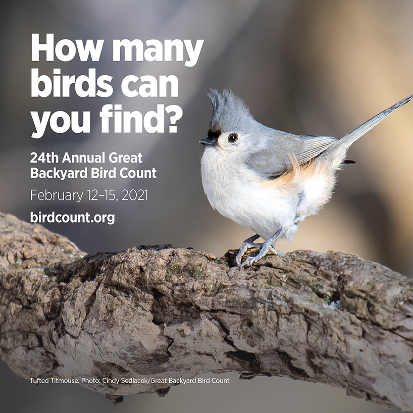 GBBC 2021 Web Square r23