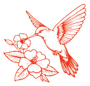 Love Your Birds Art Contest Graphic