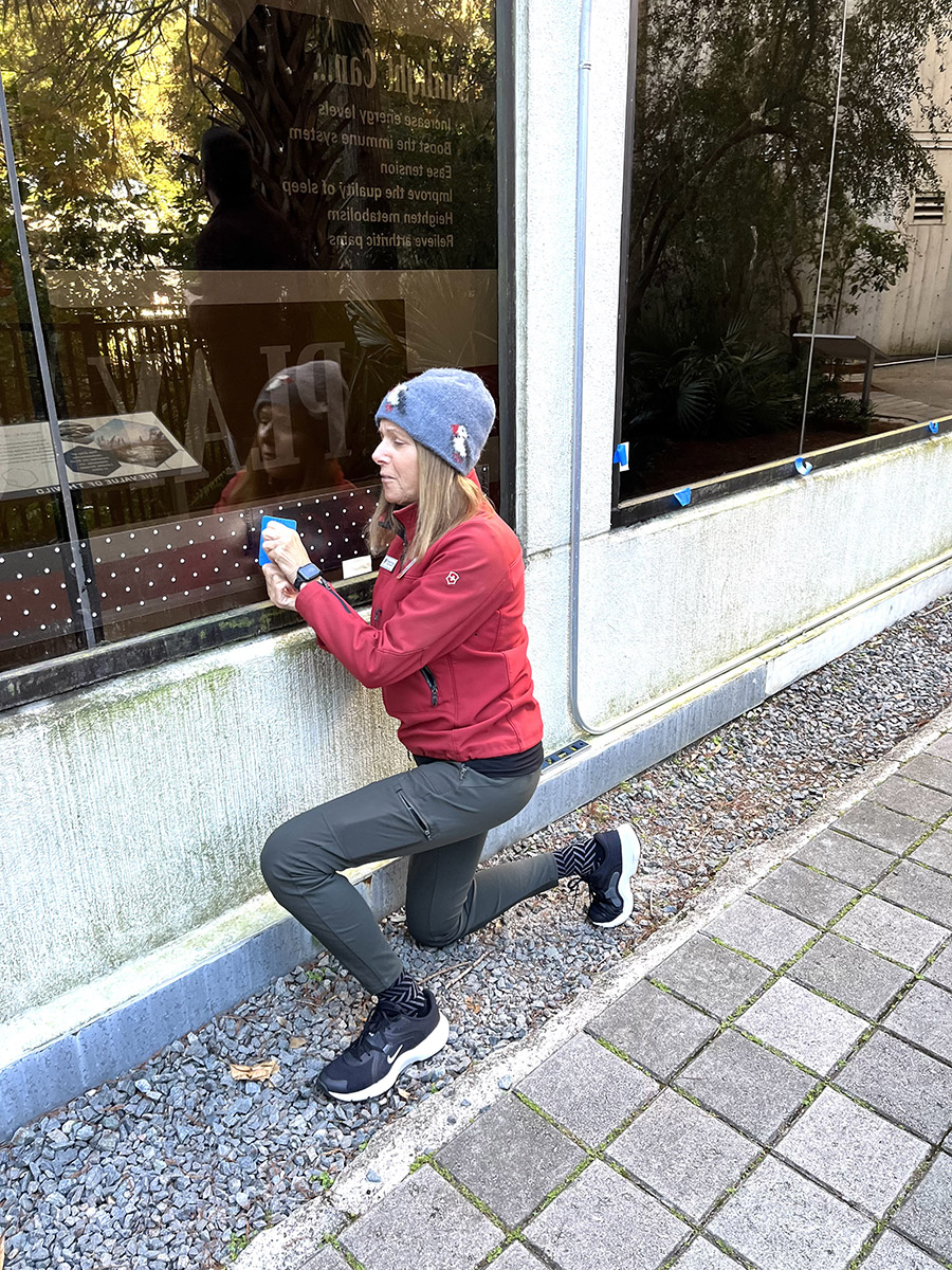 MOSH Feather Friendly installation 20241203 4