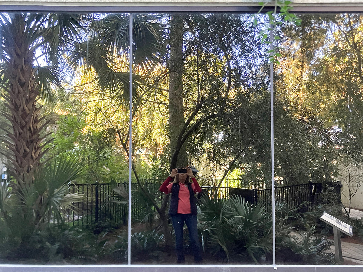 MOSH courtyard windows before Feather Friendly Installation by Elizabeth Filippelli 20241203