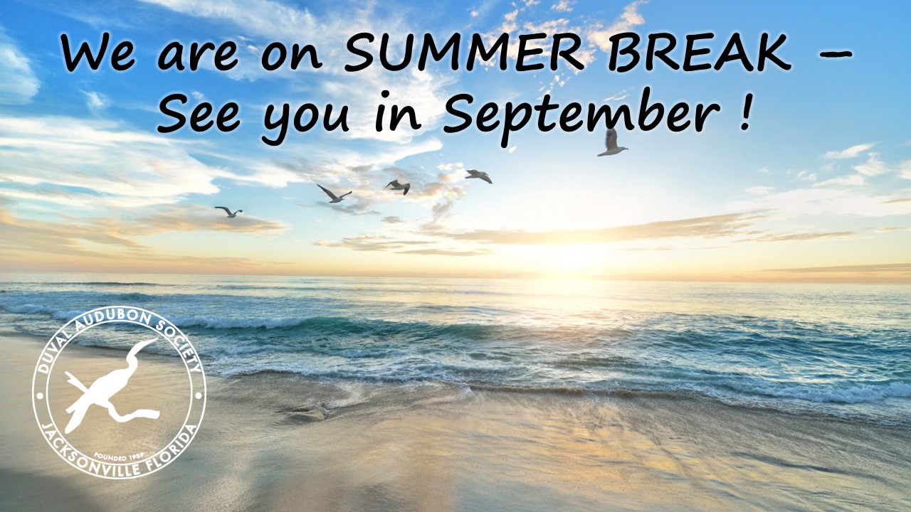 Summer Break 2024