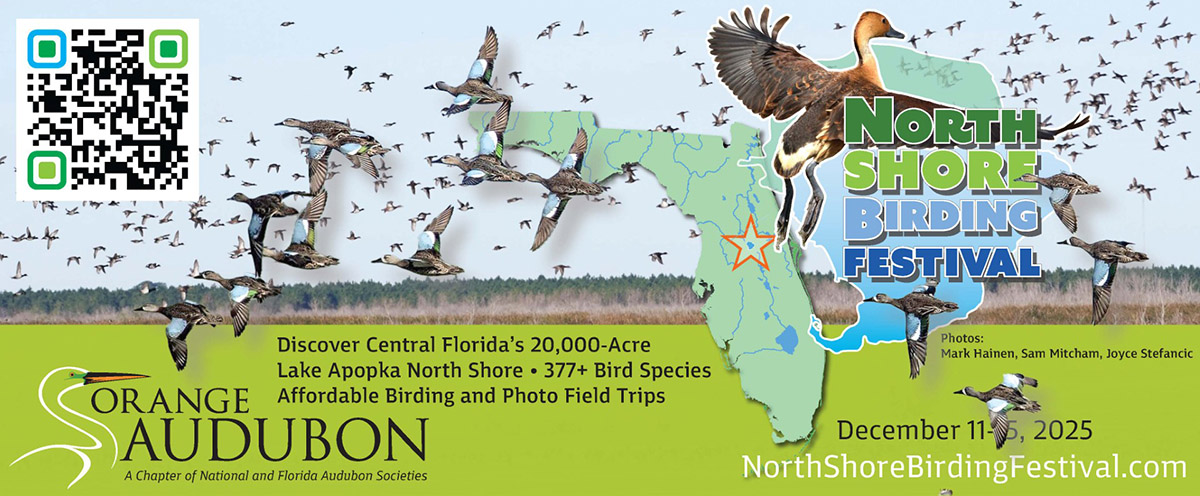 Promotional graphic for North Shore Birding Festival 2025 North Shore Birding Festival 2025