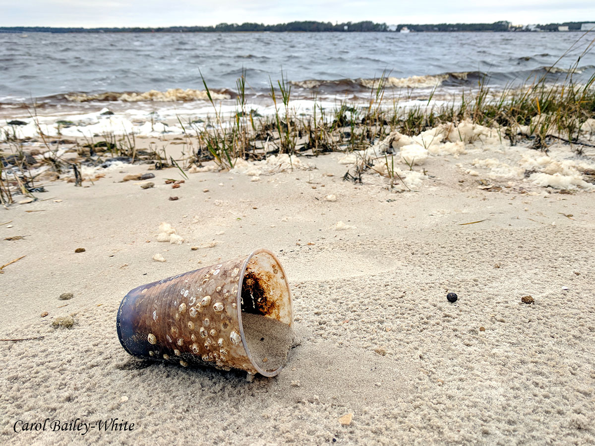 Plastic pollution 20180113 092540