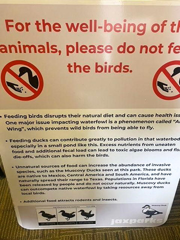 Riverside Park bird friendly sign 2025