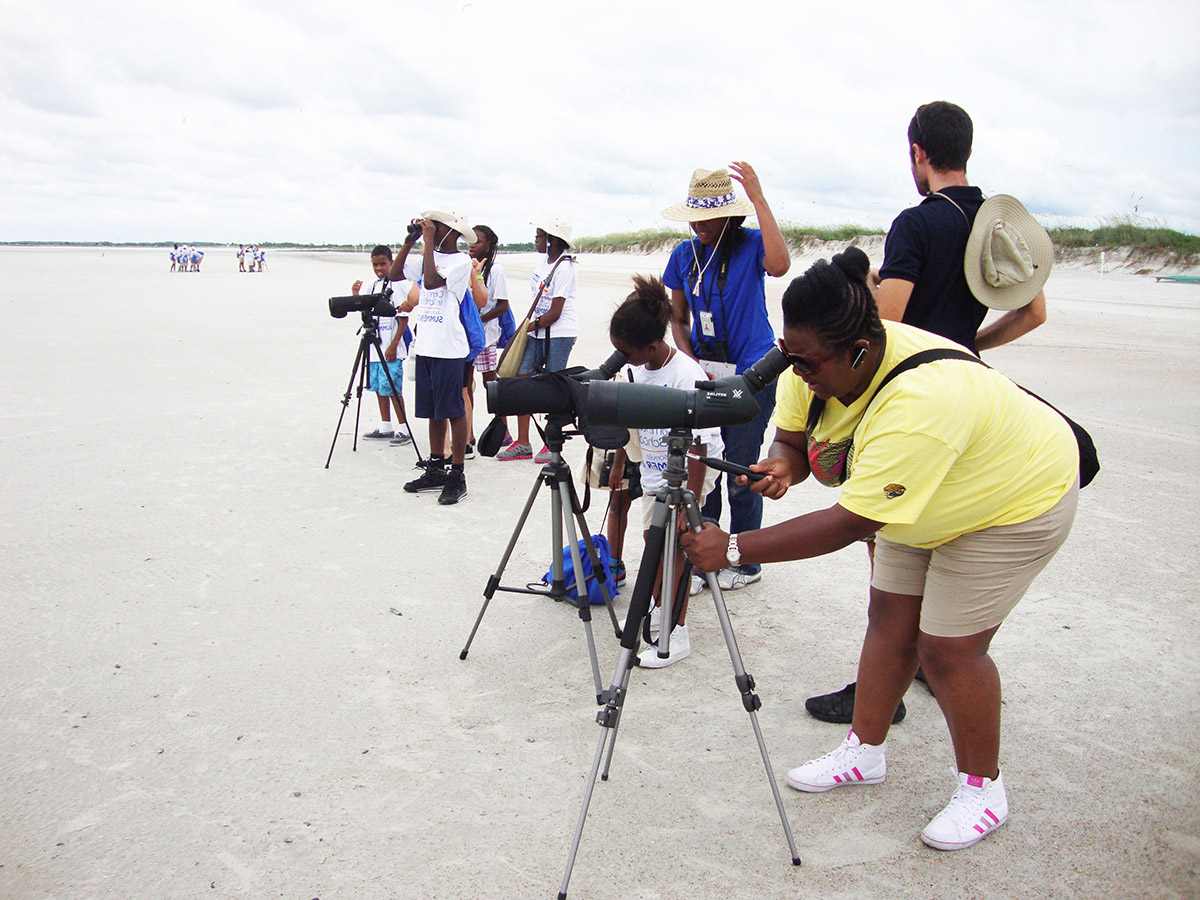 Saw 2 Sandwich Terns flipped