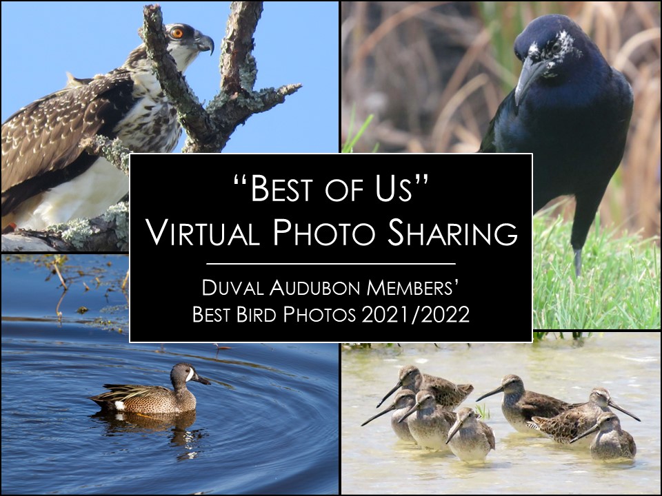 Summertime Virtual Photo Sharing Project 2022 Cover Image