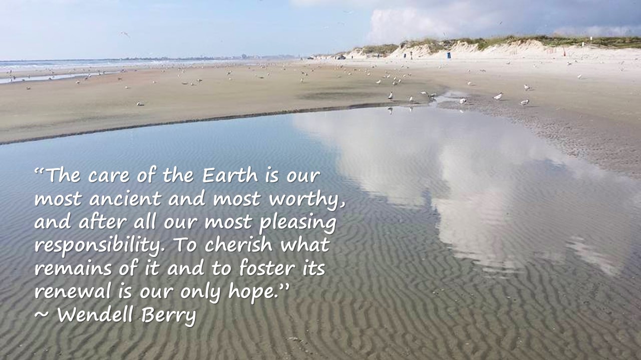 Image featuring Wendell Berry quote with beach photo as background Wendell Berry Quote