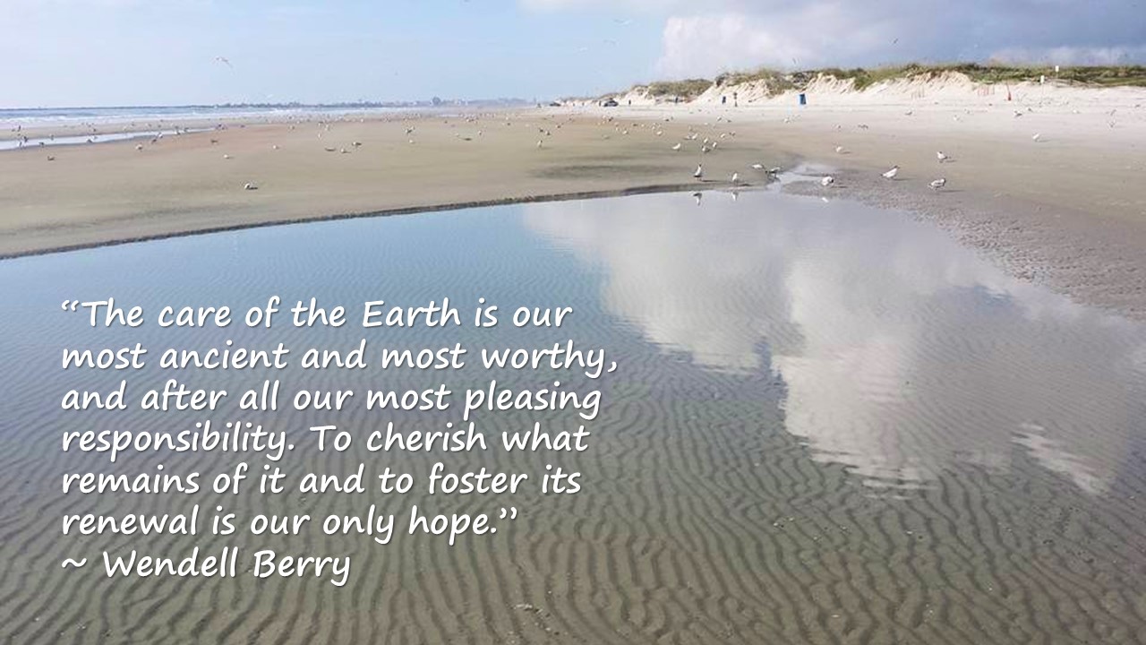 Wendell Berry Quote