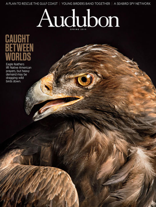 Audubon Magazine Cover Spring 2019