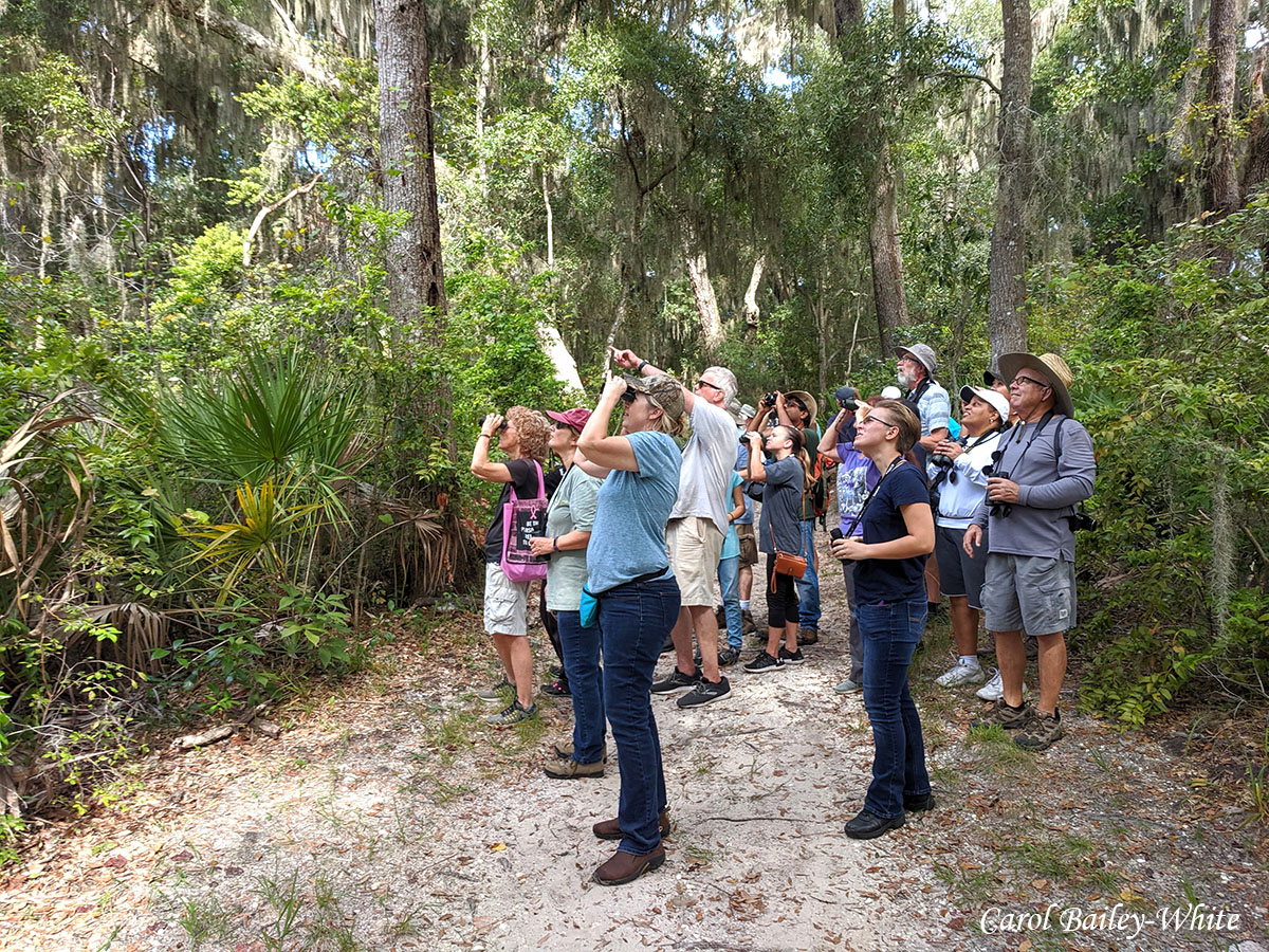 20191013 111401 Beginning Bird Walk Ft Caroline CBW