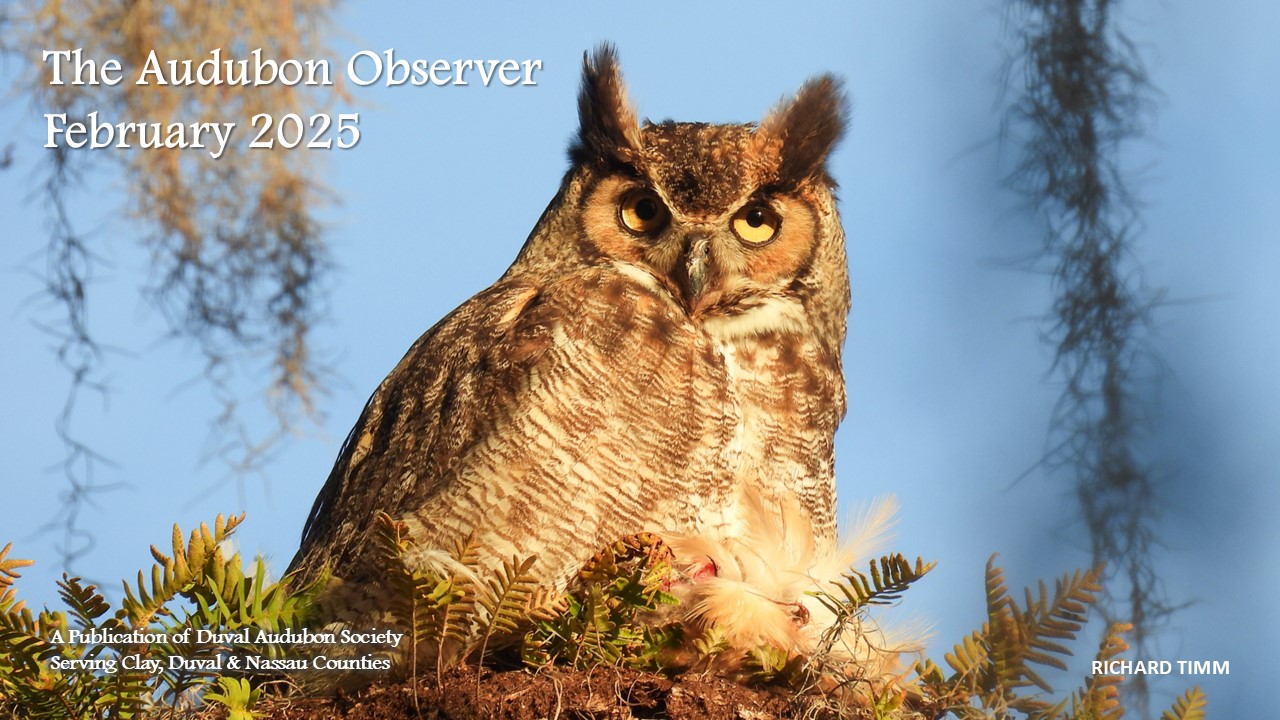 2025 Feb Observer Banner