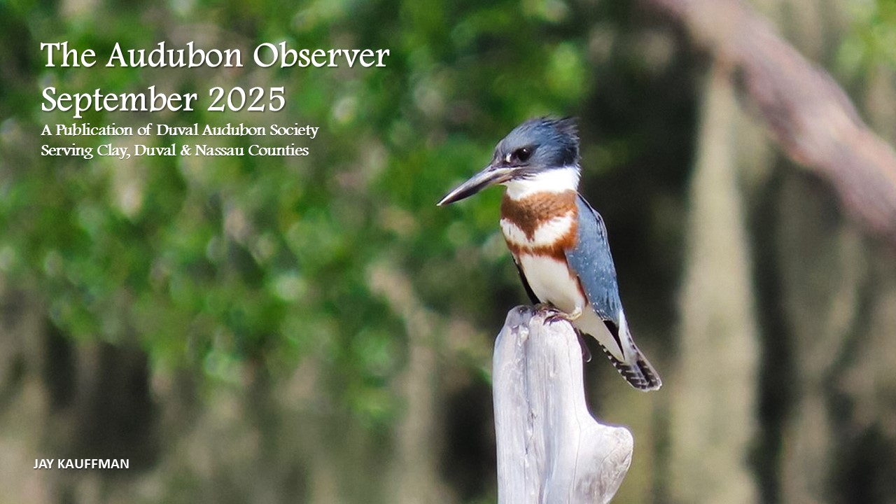 2025 Sep Observer Banner